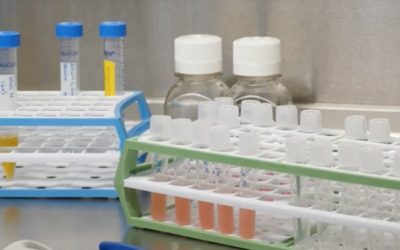 Academic Delphi Panel Issues First Recommendations on the Use of Bone Marrow Concentrate (BMC) to Treat Pain or Orthopedic Disease