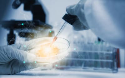 How Do Stem Cells Work?