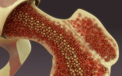 The Healing Power of Bone Marrow Derived Cells