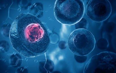 What is Adipose Stem Cell Therapy?