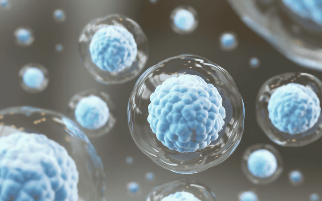 Cellular And Molecular Investigations | Shaanxi Bloom Tech Cellular And Molecular Investigations | Shaanxi Bloom Tech