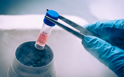 What is Lipogems and How Does it Work for Healing?