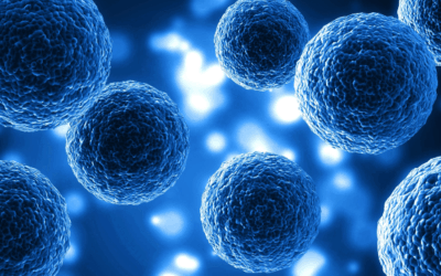 Learn About Stem Cell Banking and Athlete Recovery – Free Webinar on Nov 18