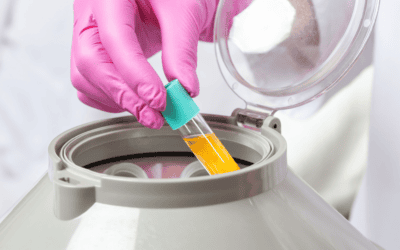 PRP vs. Cortisone Injections: Key Differences